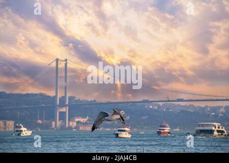 Mouette près du pont du Bosphore à Istanbul avec ciel nuageux - Istanbul, Turquie. Pont du Bosphore, quartier d'Arnavutköy et Ortaköy le matin Banque D'Images