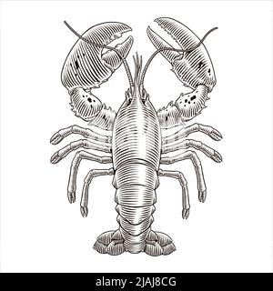 Illustration vectorielle de la gravure de homard pour le menu des fruits de mer. Crustacés dessinés à la main dans un style vintage. Illustration de Vecteur