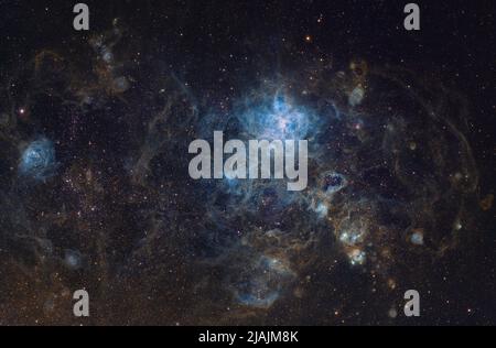 Grand nuage Magellanique, avec Tarantula Nebula visible au centre. Banque D'Images