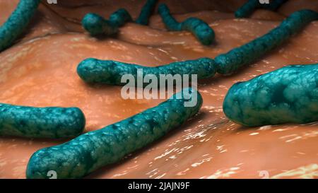 Illustration biomédicale conceptuelle de la bactérie Streptobacillus moniliformis. Banque D'Images