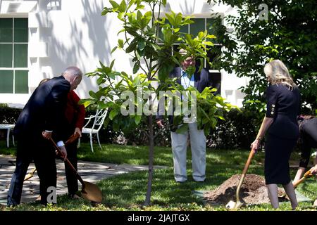 LE président AMÉRICAIN Joe Biden (L) et la première dame Jill Biden (R) participent à une cérémonie de plantation d'arbres avec les membres survivants de la famille des membres du service américain qui sont morts, le jour du souvenir à la pelouse sud de la Maison Blanche à Washington, DC, Etats-Unis, le 30 mai 2022. Un magnolia a été planté en l'honneur des membres du service américain qui ont perdu la vie et les familles qui portent leur héritage.Credit: Michael Reynolds/Pool via CNP /MediaPunch Banque D'Images