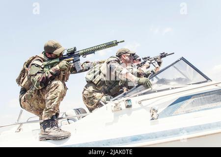 Des phoques armés attaquent leur ennemi sur un bateau. Banque D'Images