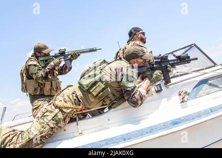 Des phoques armés attaquent leur ennemi sur un bateau. Banque D'Images