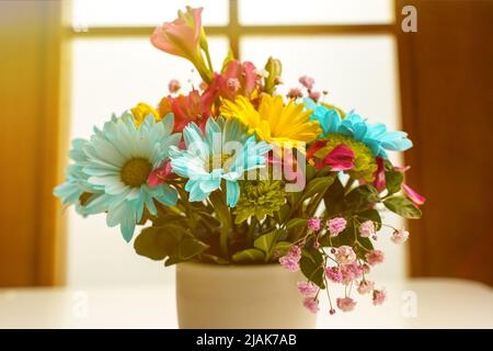 Un délicat bouquet de chrysanthèmes jaunes et bleus sur une table blanche près de la fenêtre, les rayons du soleil du matin. Banque D'Images