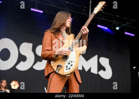 Le groupe Tom Ogden of Blossoms Pop se produit en direct sur scène au festival des lignes de tramway de Sheffield. Banque D'Images