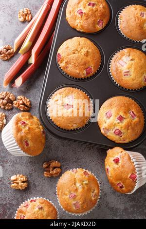 Muffins fraîchement cuits avec rhubarbe et noix de Grenoble en gros plan dans un plat de cuisson sur la table. Vue verticale du dessus Banque D'Images