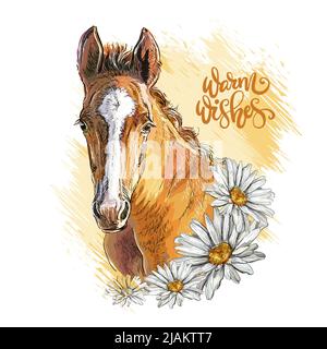 Portrait d'une belle fleur de foal et de camomille. Imprimé dessiné à la main. Illustration vectorielle avec cheval isolé sur blanc. Pour la composition de tee-shirts, Illustration de Vecteur