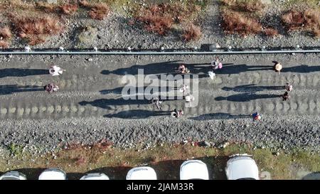 NAGQU, 31 mai 2022 (Xinhua) -- des gens partent pour la collecte de champignons de la chenille dans le canton de Lainqu, comté de Biru de Nagqu, région autonome du Tibet du sud-ouest de la Chine, 26 mai 2022. Sur la prairie de plus de 4 700 mètres au-dessus du niveau de la mer dans le comté de Biru, les bergers sont occupés à chasser le champignon de la chenille au moment de la récolte. Le comté de Biru est un site clé de la fabrication de champignons caterpillar, un ingrédient coûteux de la médecine traditionnelle chinoise. Trouvé seulement à haute altitude, le champignon, connu en Chine sous le nom de « ver d'hiver herbe d'été », est dit être efficace pour stimuler le système immunitaire. Le c Banque D'Images