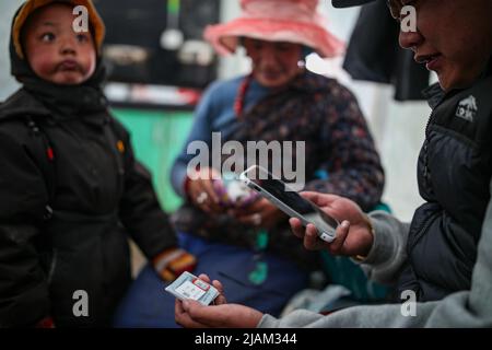 NAGQU, 31 mai 2022 (Xinhua) -- Un membre du personnel aide l'herdswoman Qime Garde à enregistrer ses champignons Caterpillar nouvellement récoltés pour compter la quantité totale sur un site de collecte de champignons de la chenille dans le canton de Lainqu, comté de Biru de Nagqu, région autonome du Tibet du sud-ouest de la Chine, 25 mai 2022. Sur la prairie de plus de 4 700 mètres au-dessus du niveau de la mer dans le comté de Biru, les bergers sont occupés à chasser le champignon de la chenille au moment de la récolte. Le comté de Biru est un site clé de la fabrication de champignons caterpillar, un ingrédient coûteux de la médecine traditionnelle chinoise. Trouvé seulement à haute altitude, le plaisir Banque D'Images