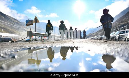 NAGQU, 31 mai 2022 (Xinhua) -- des gens partent pour la collecte de champignons de la chenille dans le canton de Lainqu, comté de Biru de Nagqu, région autonome du Tibet du sud-ouest de la Chine, 26 mai 2022. Sur la prairie de plus de 4 700 mètres au-dessus du niveau de la mer dans le comté de Biru, les bergers sont occupés à chasser le champignon de la chenille au moment de la récolte. Le comté de Biru est un site clé de la fabrication de champignons caterpillar, un ingrédient coûteux de la médecine traditionnelle chinoise. Trouvé seulement à haute altitude, le champignon, connu en Chine sous le nom de « ver d'hiver herbe d'été », est dit être efficace pour stimuler le système immunitaire. Le c Banque D'Images
