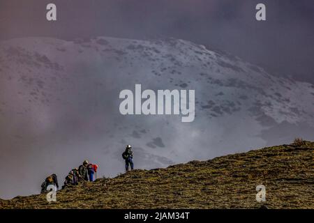 NAGQU, 31 mai 2022 (Xinhua) -- des bergers locaux chassent le champignon de la chenille sur les hautes terres avec une altitude de 4 700 mètres dans le comté de Biru de Nagqu, dans la région autonome du Tibet du sud-ouest de la Chine, au 26 mai 2022. Sur la prairie de plus de 4 700 mètres au-dessus du niveau de la mer dans le comté de Biru, les bergers sont occupés à chasser le champignon de la chenille au moment de la récolte. Le comté de Biru est un site clé de la fabrication de champignons caterpillar, un ingrédient coûteux de la médecine traditionnelle chinoise. Trouvé seulement à haute altitude, le champignon, connu en Chine sous le nom de « ver d'hiver herbe d'été », est dit être efficace pour stimuler le Th Banque D'Images