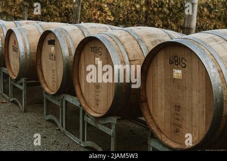 Producteurs de vin locaux à Swan Valley, Perth. Banque D'Images