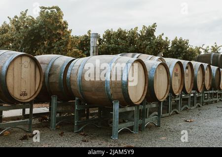 Producteurs de vin locaux à Swan Valley, Perth. Banque D'Images