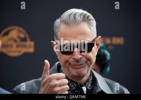 Cologne, Allemagne. 30th mai 2022. Acteur Jeff GOLDBLUM, Etats-Unis, tapis rouge, spectacle tapis rouge, arrivée, Première de film JURASSIC WORLD - Un NOUVEL ÂGE sur 30 mai 2022 à Koeln, Credit: dpa/Alamy Live News Banque D'Images