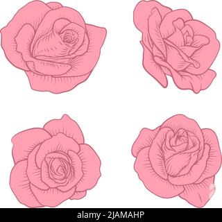 Ensemble de roses fleurs de rose dans le style de coupe de bois d'époque Illustration de Vecteur
