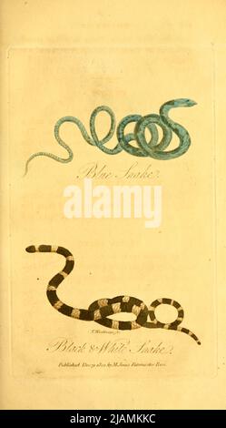 Serpents du livre l'histoire de la Nouvelle-Galles du Sud : y compris Botany Bay, Port Jackson, Parramatta, Sydney, et toutes ses dépendances, de la découverte originale de l'île ; avec les coutumes et les manières des indigènes; Et un récit de la colonie anglaise, de sa fondation à l'époque actuelle par George Barrington, 1755-1804. Date de publication 1810 Editeur Londres : M. Jones. George Barrington (14 mai 1755 – 27 décembre 1804) est un pickpocket d'origine irlandaise, populaire socialite londonienne, pionnier australien (après son transport à Botany Bay), et auteur. Ses escapades, arrestations, et Banque D'Images