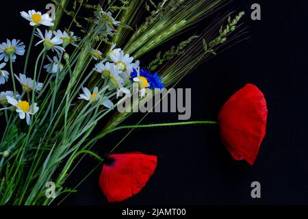 arrangement floral de coquelicots rouges, de pâquerettes, de fleurs de maïs et de fleurs sauvages Banque D'Images
