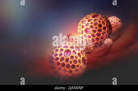 Allergènes dans le corps sous microscope. Spores de pollen, champignons, germes, virus. Virologie et microbiologie 3D illustration Banque D'Images