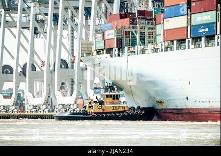 Des images de stock du navire à conteneurs COSCO Development, le plus grand navire à avoir jamais appelé la côte est, sont entrés dans la rivière Savannah ce matin et ont mak Banque D'Images