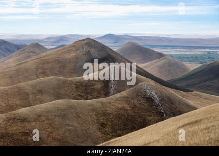 Un modèle de montagnes, collines surcultivées avec de l'herbe jaune sèche, sans arbres. Paysage d'automne de collines à plusieurs niveaux. Parfait montagne automne landsca Banque D'Images