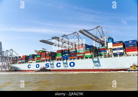 Des images de stock du navire à conteneurs COSCO Development, le plus grand navire à avoir jamais appelé la côte est, sont entrés dans la rivière Savannah ce matin et ont mak Banque D'Images