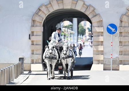 Vienne, Autriche. Les Fiakers traversent le premier quartier de Vienne Banque D'Images