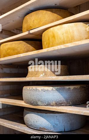 Fromages ronds dans une Fromagerie à Strasbourg, France Banque D'Images