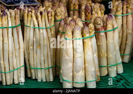 Asperges blanches en vente sur le marché extérieur de Strasbourg, France Banque D'Images