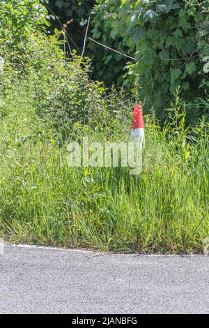 Cône de route orange et blanc englouti par les mauvaises herbes et l'herbe sur le bord de la route du pays. Métaphore travaux routiers, hommes au travail, retards de circulation, oublié. Banque D'Images