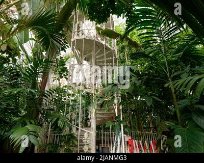 Richmond, Grand Londres, Angleterre, 18 mai 2022: Jardins botaniques royaux Kew. Escalier en colimaçon à l'intérieur du Palm House entouré de plantes. Banque D'Images