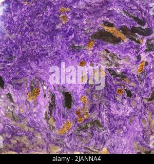 Arrière-plan abstrait transparent. Pierre naturelle - cristaux de fluorite vert et violet motif abstrait. Motifs et textures naturels de fluorite minérale Banque D'Images