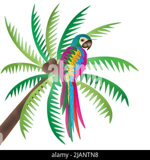 Grand perroquet tropical coloré perché sur des feuilles de palmier. Isolé sur fond blanc Banque D'Images