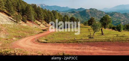 Paysage de la forêt de cèdre et route de terre en Turquie Banque D'Images