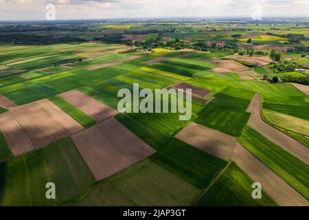 Agriculture champs Paterns dans la campagne rurale. Vue aérienne du Drone. Banque D'Images