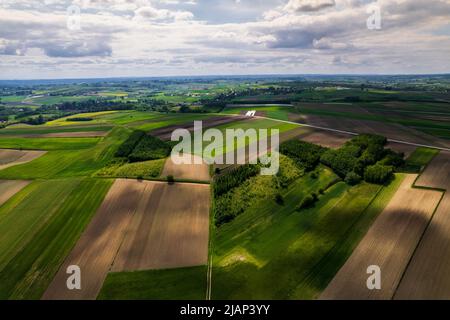 Des champs de culture luxuriants et colorés dans un paysage rural de Counrtyside. Vue aérienne du Drone. Terres agricoles polonaises. Banque D'Images