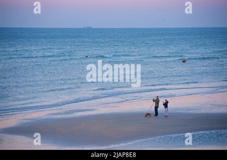 Couple marchant leur chien le long du rivage à marée basse et à l'aube. Brighton, Angleterre, Royaume-Uni Banque D'Images