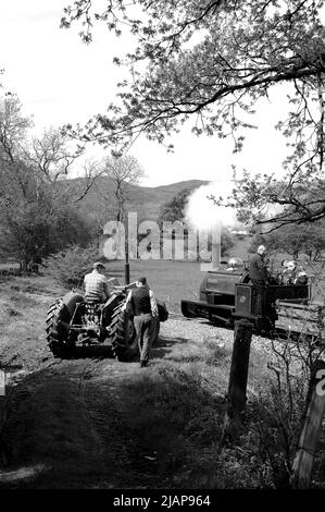 « Winifred » avec un train de chariots en ardoise passant devant un tracteur d'époque et des ré-acteurs entre Ysgubor FIAS et Pentrpiod halt. Banque D'Images