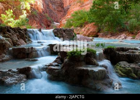 Parc national du Grand Canyon. Les eaux bleu clair du ruisseau Havasu se cascade sur des formations de travertin contrastant avec les parois rouges du canyon dans le parc national du Grand Canyon. Havasu Creek est un ruisseau dans l'État américain de l'Arizona associé aux Havasupai. C'est un affluent du fleuve Colorado. États-Unis d'Amérique une version optimisée d'un US National Park Service. Crédit photo : NPS Banque D'Images