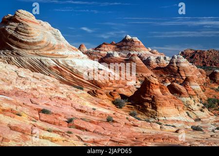 Monument national de Vermilion Cliffs. Avant les autoroutes et les chemins de fer, avant les pionniers... la terre que nous connaissons comme les États-Unis était un vaste désert. Pour protéger ces dernières zones restantes, le Congrès a créé en 1984 la région sauvage de Paria Canyon - Vermilion Cliffs. Les paysages exceptionnels de Coyote Buttes, la faune du désert, l'histoire colorée et les possibilités de loisirs sont protégés dans ce paysage pour les générations futures. Une des plus belles formations géologiques du monde. Une version optimisée / améliorée d'une photo du Bureau américain de la gestion des terres. Crédit BLM/B.Wick Banque D'Images