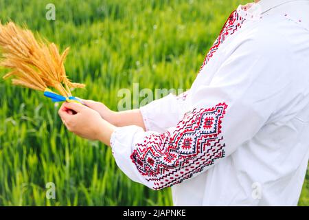 Defocus femme en vyshyvanka tenant un bouquet de pointes mûres dorées de blé attaché sur le fond de la nature du pré. Drapeau de l'Ukraine. Indépendance. Ukrain Banque D'Images