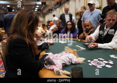 LAS VEGAS, NV - 30 mai: Lisa Vanderpump joue dans l'une des premières tables d'action avec son chien Puffy à Bally's/Paris Las Vegas pour WSOP - World Series of Poker sur 30 mai 2022 à LAS VEGAS, Etats-Unis. (Photo de Louis Grasse/PxImages) Banque D'Images