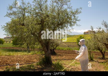 Illustration d'un agriculteur dans un champ portant un équipement de sécurité lors de la pulvérisation d'engrais liquide sur des plantes fruitières Banque D'Images