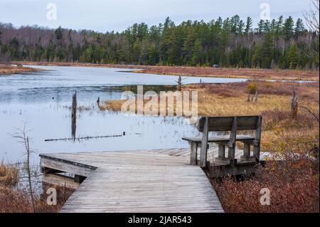 Heron Marsh. Zones humides d'eau douce dans les montagnes Adirondack. Banc sur une plate-forme d'observation. Paul Smith's College Visitor Interpretive Center, New York Banque D'Images