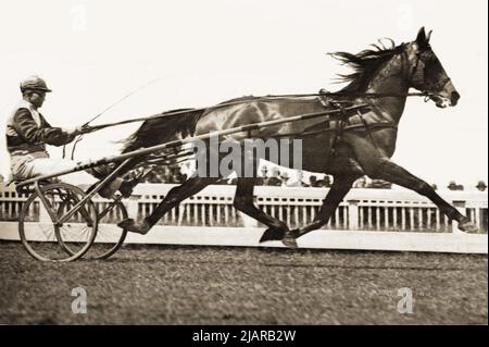 Lawn Derby (AUS), un cheval Standardbred (1930) de Robert Derby de Roselawn par Childewood. Unhoped, ce pacer de Nouvelle-Galles du Sud a été le premier à briser la barrière de deux minutes en Australie ou en Nouvelle-Zélande. Il a réalisé cet exploit en 1938 à la piste Addington en Nouvelle-Zélande quand il a enregistré 1:59,4 CA. 1934 Banque D'Images