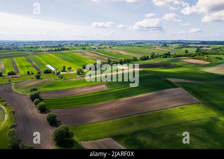 Agriculture champs Paterns dans la campagne rurale. Vue aérienne du Drone. Banque D'Images