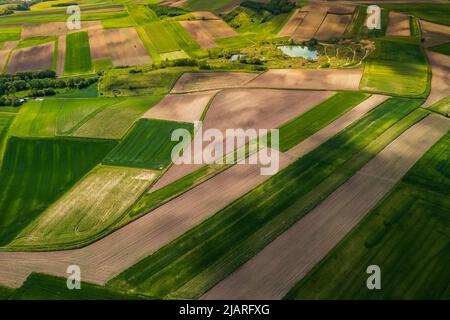 Agriculture champs Paterns dans la campagne rurale. Vue aérienne du Drone. Banque D'Images