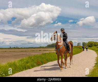 Une femme à cheval. Dressage de la femme à cheval dans le parc. Sportif équestre. Photo de rue, sélection, éditorial-29 mai,2022-Vancouve Banque D'Images