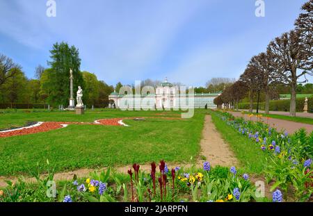 Moscou, Russie, 05.11.2022. Palais et parc 'Kuskovo'. Fleurs dans le parc près de la grande serre de pierre, architecture russe classique de Banque D'Images