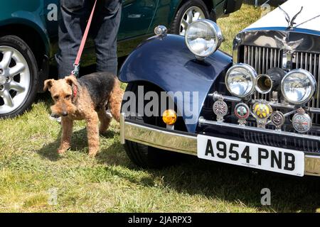 Le salon Deal Classic car au parc Betteshanger, près de Deal Kent, Royaume-Uni Banque D'Images