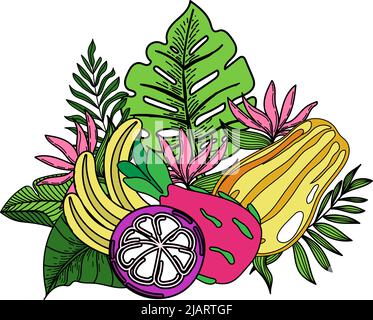 Banderole, affiche avec fruits exotiques et feuilles de monstre et de palmier, fleurs d'arrow-root tropicales. Les éléments sont peints à la main dans un style plat. Jungle. Motif floral a Illustration de Vecteur